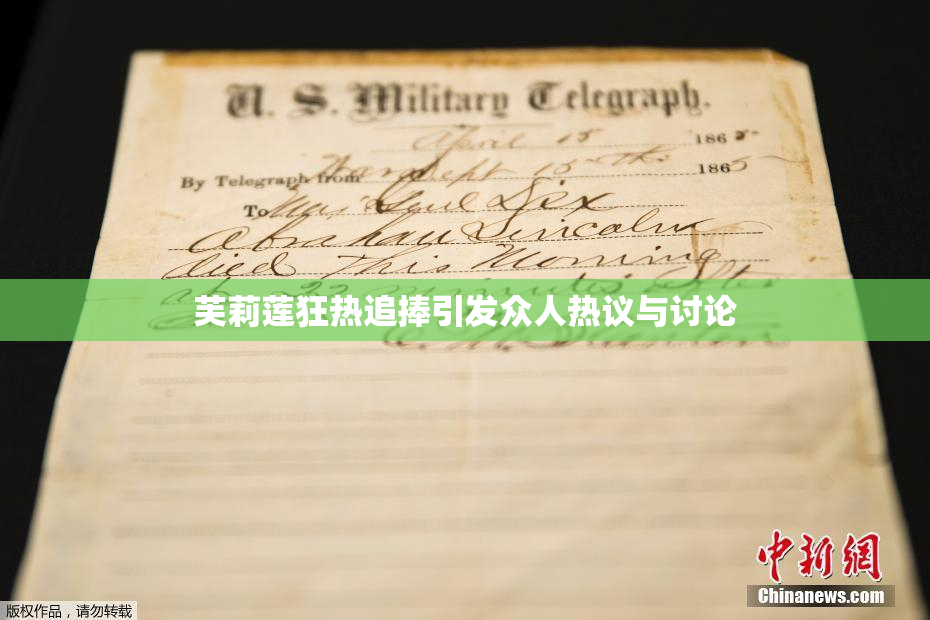 芙莉莲狂热追捧引发众人热议与讨论