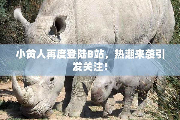 小黄人再度登陆B站，热潮来袭引发关注！
