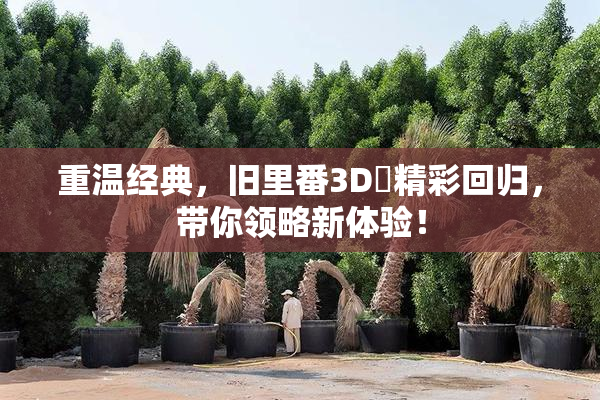重温经典，旧里番3D姉精彩回归，带你领略新体验！