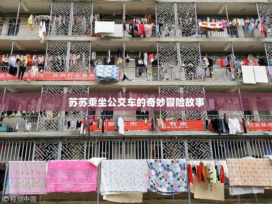 苏苏乘坐公交车的奇妙冒险故事