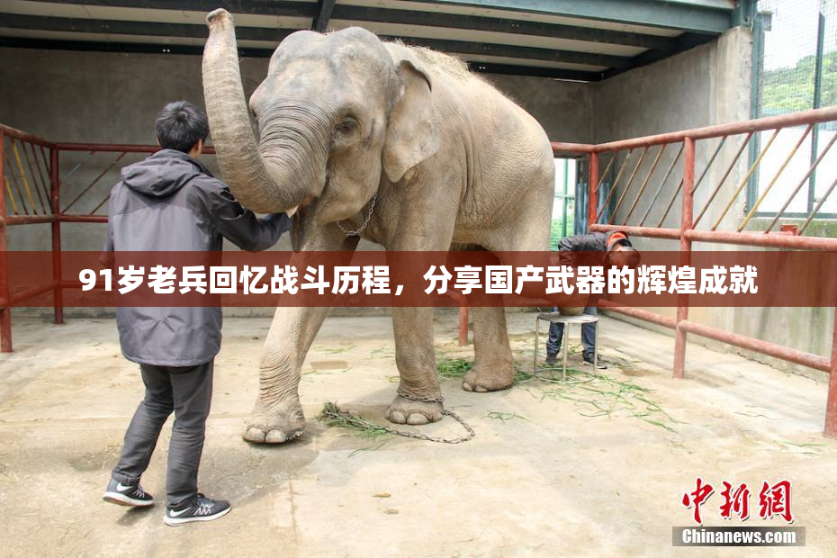 91岁老兵回忆战斗历程，分享国产武器的辉煌成就