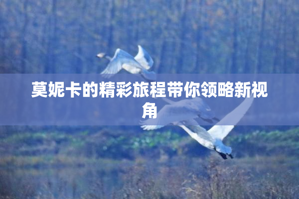 莫妮卡的精彩旅程带你领略新视角