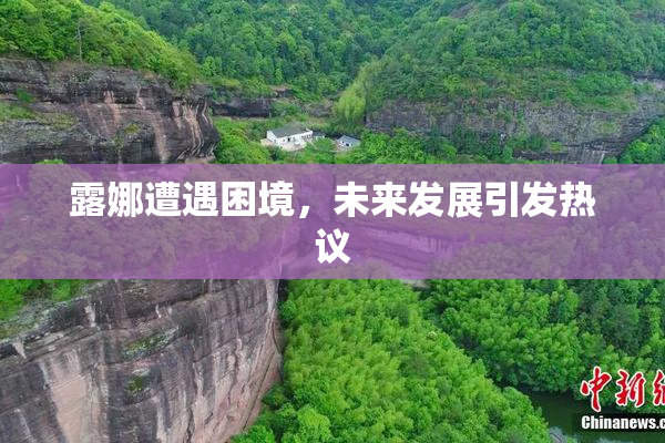 露娜遭遇困境，未来发展引发热议