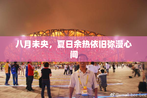 八月未央，夏日余热依旧弥漫心间