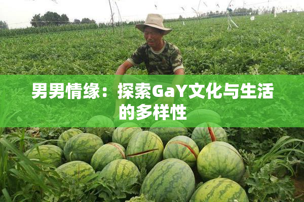 男男情缘：探索GaY文化与生活的多样性