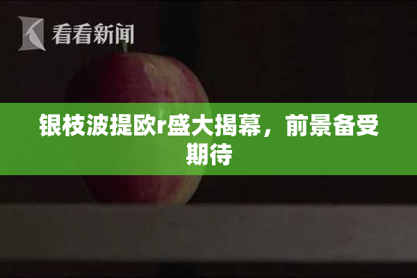 银枝波提欧r盛大揭幕，前景备受期待