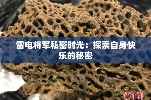 雷电将军私密时光：探索自身快乐的秘密