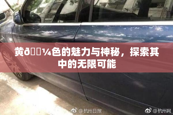 黄🌼色的魅力与神秘，探索其中的无限可能