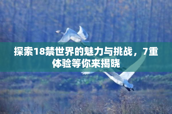 探索18禁世界的魅力与挑战，7重体验等你来揭晓