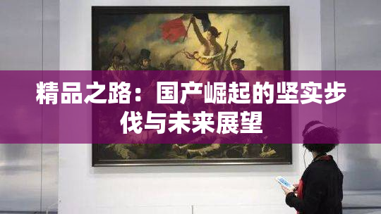 精品之路：国产崛起的坚实步伐与未来展望