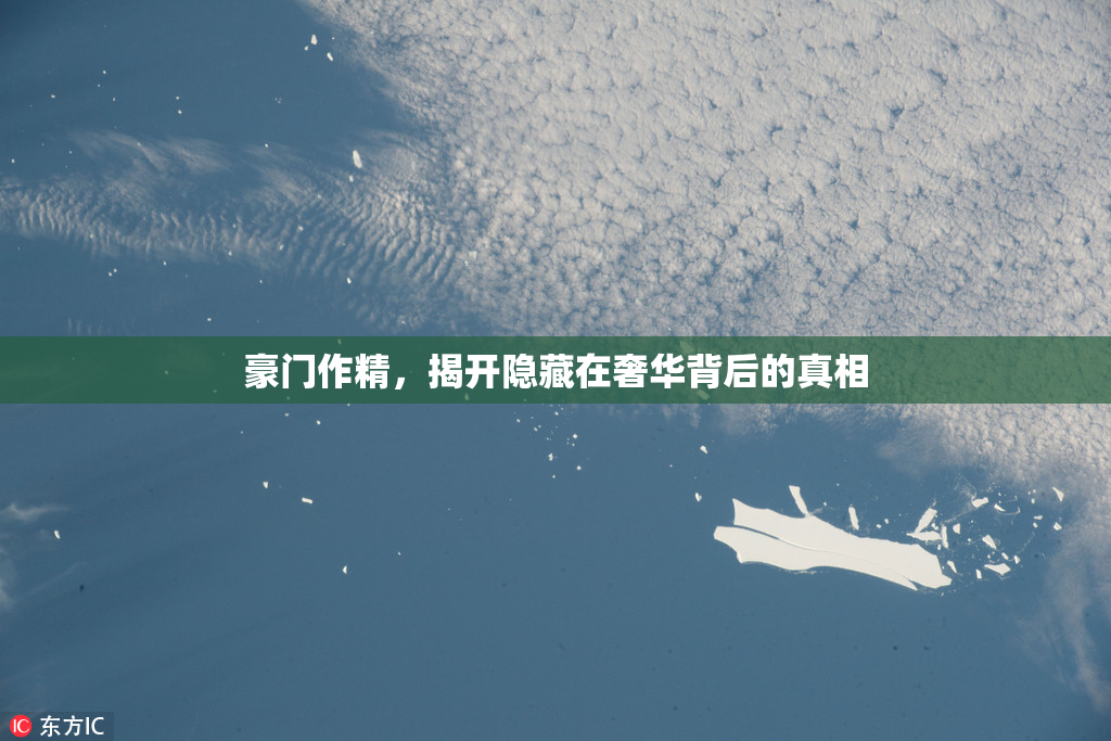 豪门作精，揭开隐藏在奢华背后的真相