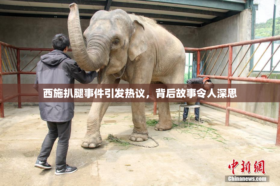 西施扒腿事件引发热议，背后故事令人深思