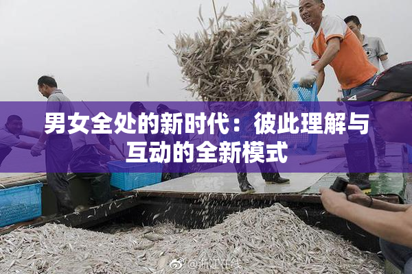 男女全处的新时代：彼此理解与互动的全新模式