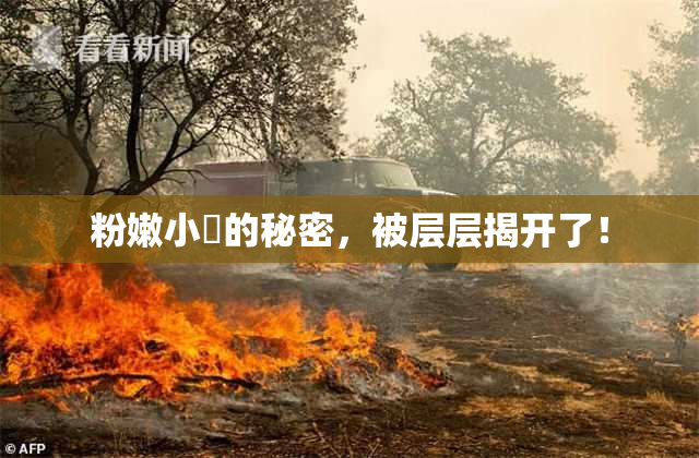 粉嫩小泬的秘密，被层层揭开了！