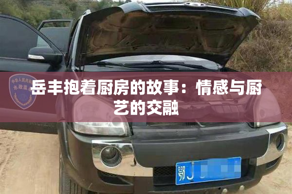 岳丰抱着厨房的故事：情感与厨艺的交融