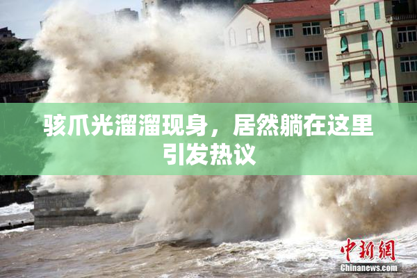 骇爪光溜溜现身，居然躺在这里引发热议