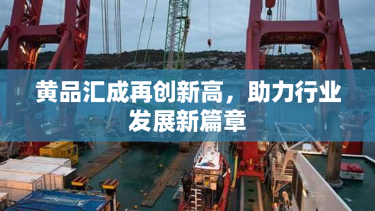 黄品汇成再创新高，助力行业发展新篇章