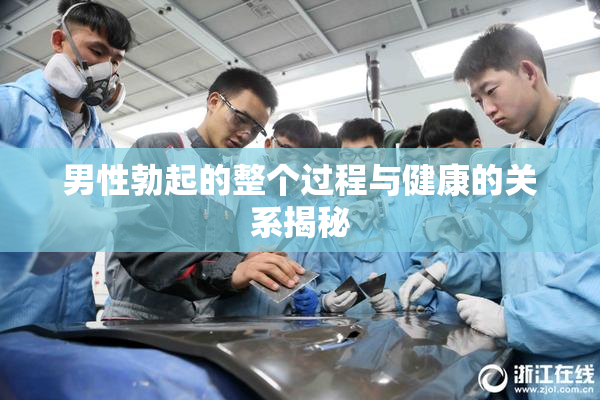 男性勃起的整个过程与健康的关系揭秘