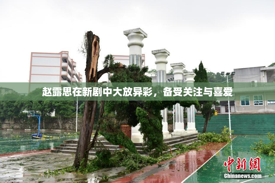 赵露思在新剧中大放异彩，备受关注与喜爱