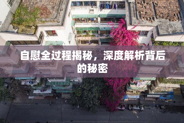自慰全过程揭秘，深度解析背后的秘密