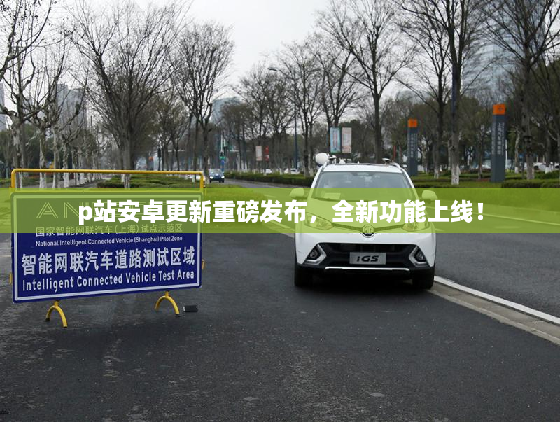 p站安卓更新重磅发布，全新功能上线！