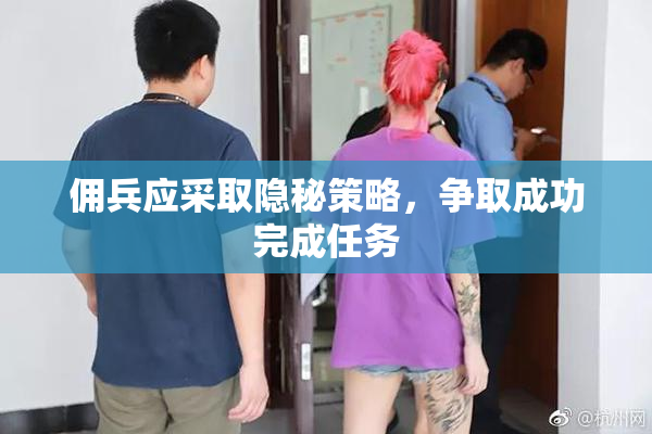 佣兵应采取隐秘策略，争取成功完成任务