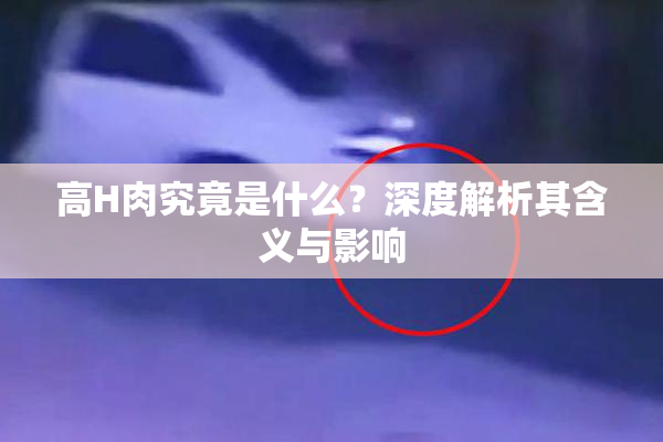 高H肉究竟是什么？深度解析其含义与影响