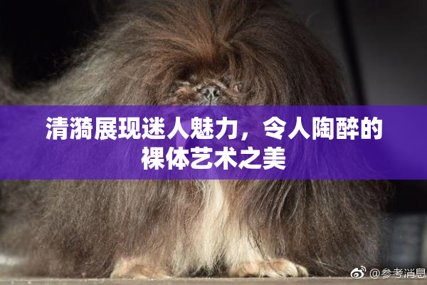 清漪展现迷人魅力，令人陶醉的裸体艺术之美