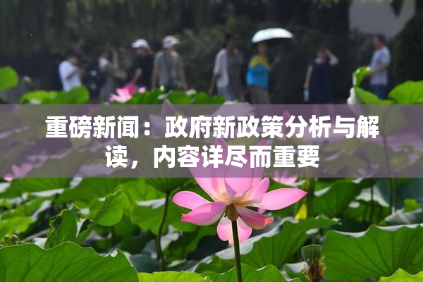 重磅新闻：政府新政策分析与解读，内容详尽而重要