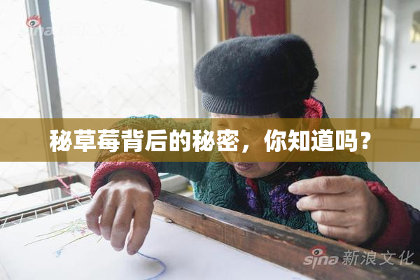 秘草莓背后的秘密，你知道吗？
