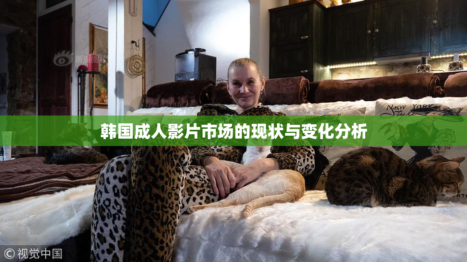 韩国成人影片市场的现状与变化分析