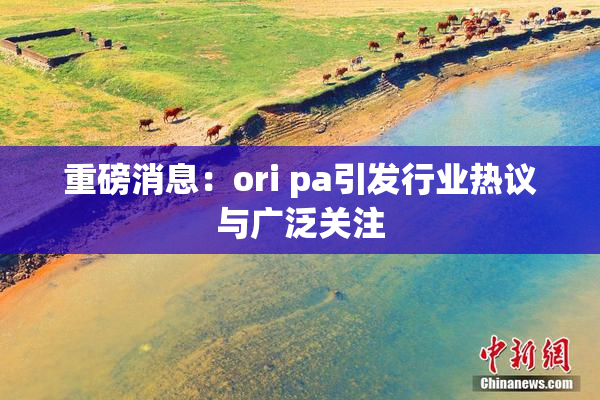 重磅消息：ori pa引发行业热议与广泛关注