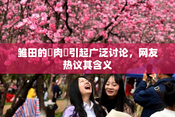 雏田的婬肉泬引起广泛讨论，网友热议其含义