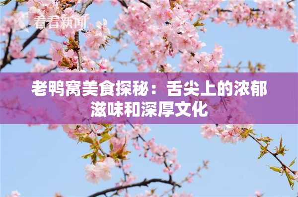 老鸭窝美食探秘：舌尖上的浓郁滋味和深厚文化