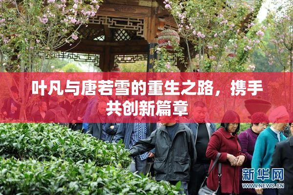 叶凡与唐若雪的重生之路，携手共创新篇章