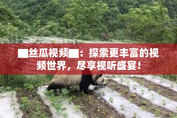 ▇丝瓜视频▇：探索更丰富的视频世界，尽享视听盛宴！