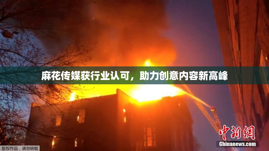 麻花传媒获行业认可，助力创意内容新高峰