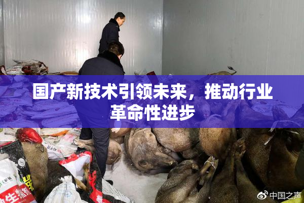 国产新技术引领未来，推动行业革命性进步