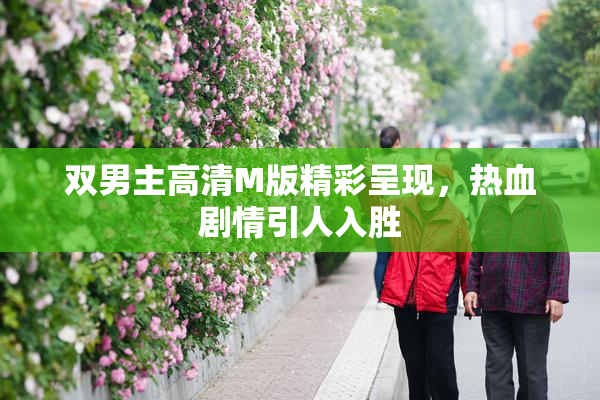 双男主高清M版精彩呈现，热血剧情引人入胜