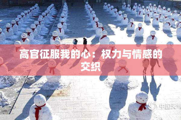 高官征服我的心：权力与情感的交织