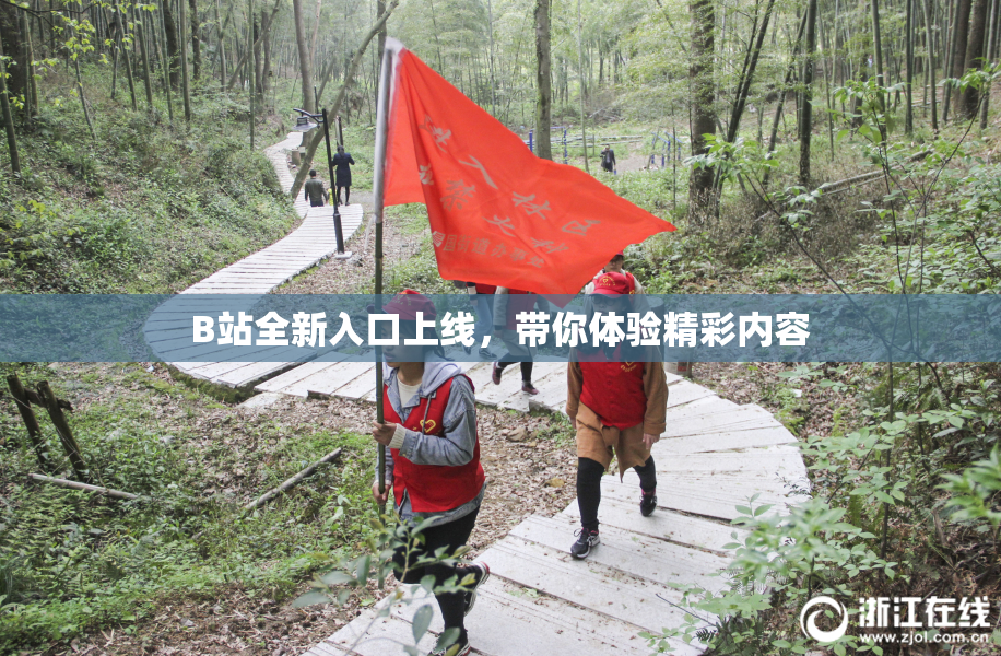 B站全新入口上线，带你体验精彩内容
