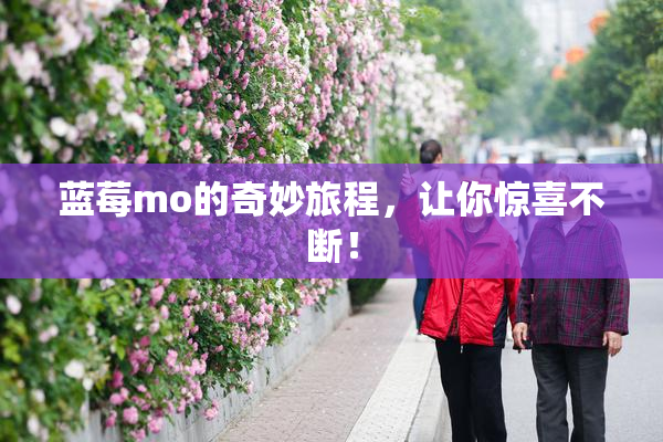 蓝莓mo的奇妙旅程，让你惊喜不断！