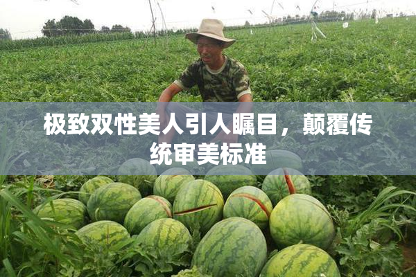 极致双性美人引人瞩目，颠覆传统审美标准