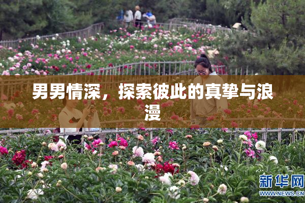 男男情深，探索彼此的真挚与浪漫