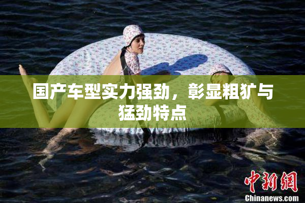 国产车型实力强劲，彰显粗犷与猛劲特点