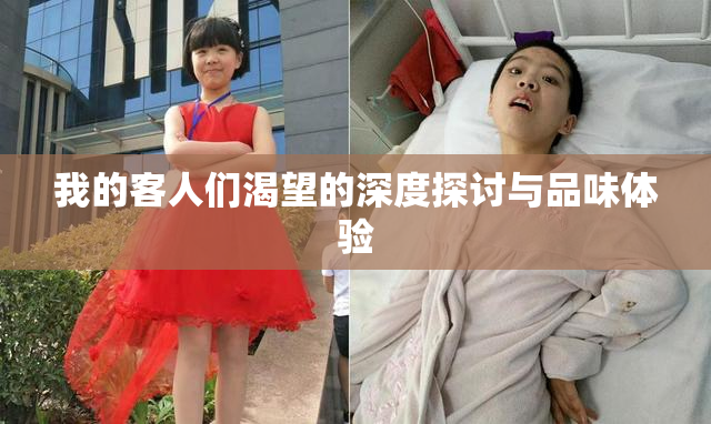 我的客人们渴望的深度探讨与品味体验