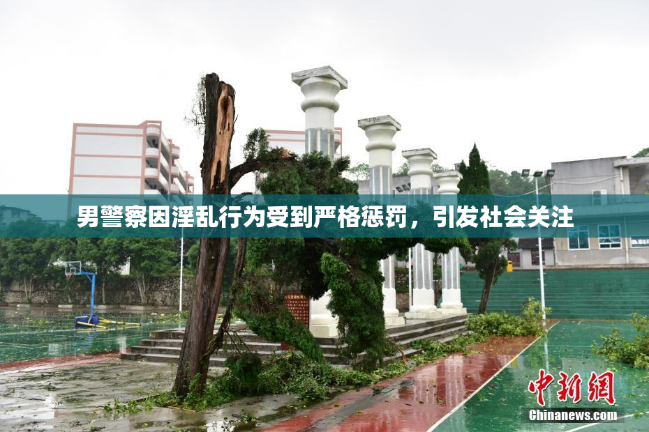 男警察因淫乱行为受到严格惩罚，引发社会关注
