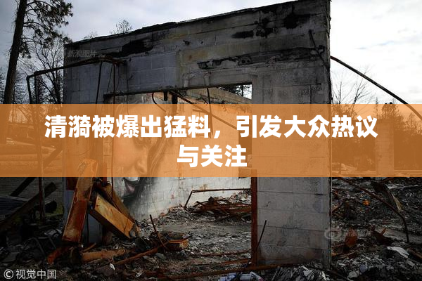 清漪被爆出猛料，引发大众热议与关注