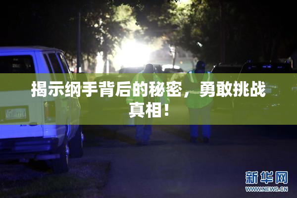 揭示纲手背后的秘密，勇敢挑战真相！