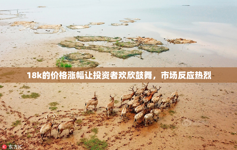 18k的价格涨幅让投资者欢欣鼓舞，市场反应热烈